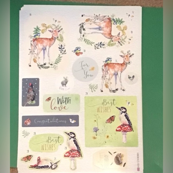 Nature Themed Card and Paper Crafting Kit - Picture 5 of 10